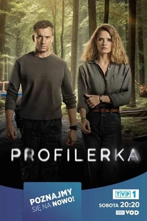 Постер Профайлер