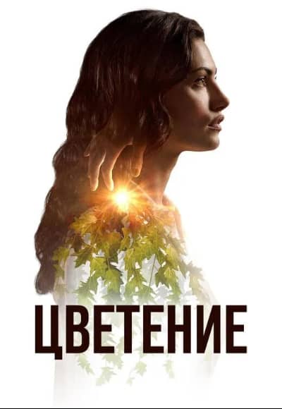 Постер Цветение