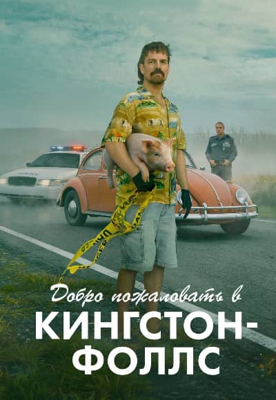 Постер Добро пожаловать в Кингстон-Фоллс