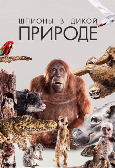 Постер Шпионы в дикой природе